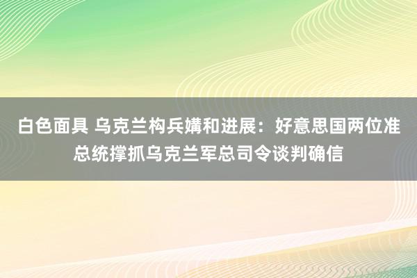 白色面具 乌克兰构兵媾和进展：好意思国两位准总统撑抓乌克兰军总司令谈判确信