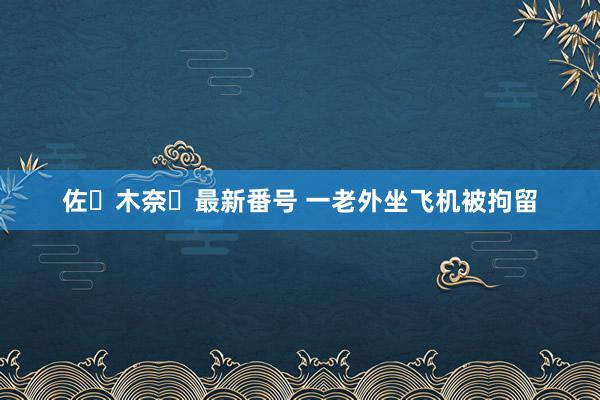 佐々木奈々最新番号 一老外坐飞机被拘留