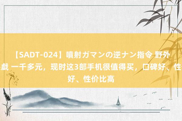 【SADT-024】噴射ガマンの逆ナン指令 野外浣腸悪戯 一千多元，现时这3部手机很值得买，口碑好、性价比高