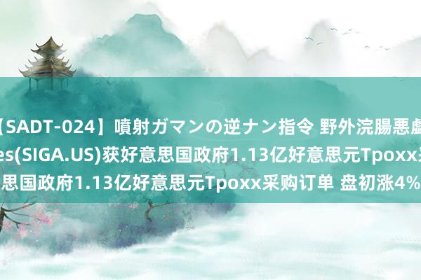 【SADT-024】噴射ガマンの逆ナン指令 野外浣腸悪戯 SIGA Technologies(SIGA.US)获好意思国政府1.13亿好意思元Tpoxx采购订单 盘初涨4%