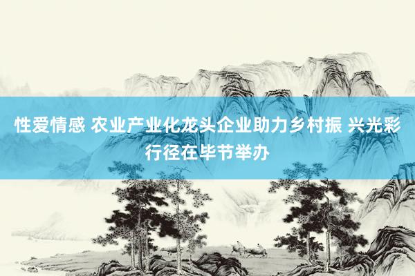 性爱情感 农业产业化龙头企业助力乡村振 兴光彩行径在毕节举办