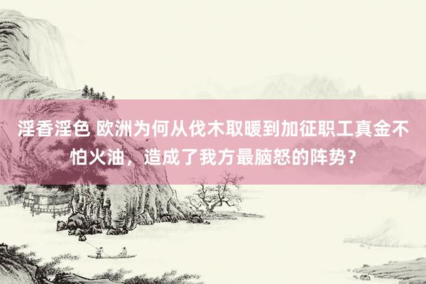 淫香淫色 欧洲为何从伐木取暖到加征职工真金不怕火油，造成了我方最脑怒的阵势？