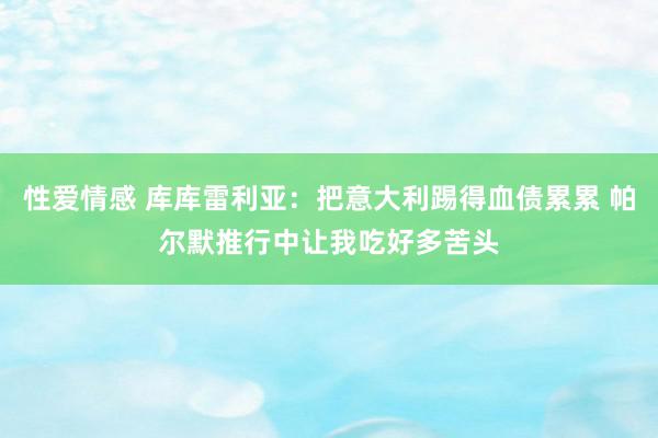 性爱情感 库库雷利亚：把意大利踢得血债累累 帕尔默推行中让我吃好多苦头