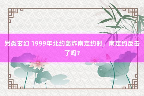 另类玄幻 1999年北约轰炸南定约时，南定约反击了吗？