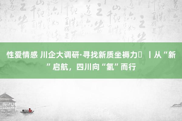 性爱情感 川企大调研·寻找新质坐褥力⑮丨从“新”启航，四川向“氢”而行