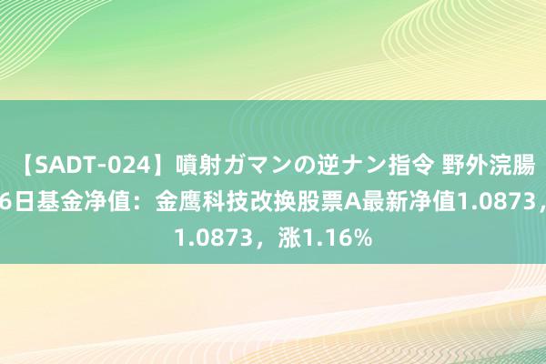 【SADT-024】噴射ガマンの逆ナン指令 野外浣腸悪戯 7月26日基金净值：金鹰科技改换股票A最新净值1.0873，涨1.16%