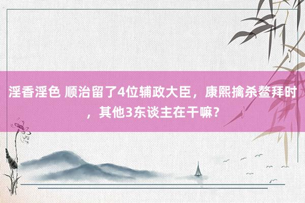 淫香淫色 顺治留了4位辅政大臣，康熙擒杀鳌拜时，其他3东谈主在干嘛？