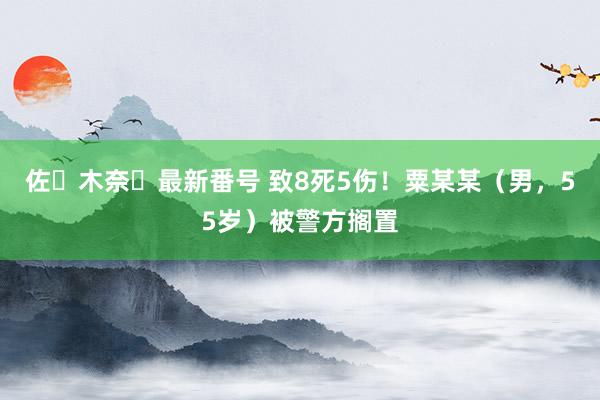 佐々木奈々最新番号 致8死5伤！粟某某（男，55岁）被警方搁置