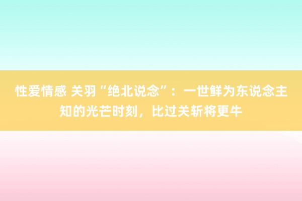 性爱情感 关羽“绝北说念”：一世鲜为东说念主知的光芒时刻，比过关斩将更牛