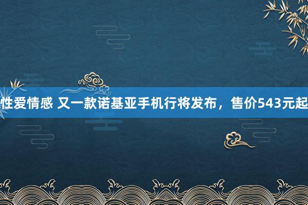 性爱情感 又一款诺基亚手机行将发布，售价543元起