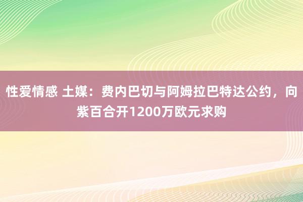 性爱情感 土媒：费内巴切与阿姆拉巴特达公约，向紫百合开1200万欧元求购