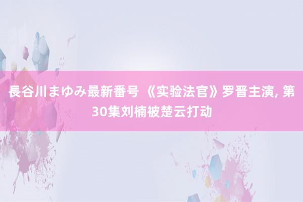 長谷川まゆみ最新番号 《实验法官》罗晋主演, 第30集刘楠被楚云打动