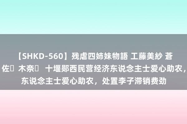 【SHKD-560】残虐四姉妹物語 工藤美紗 蒼井さくら 中谷美結 佐々木奈々 十堰郧西民营经济东说念主士爱心助农，处置李子滞销费劲