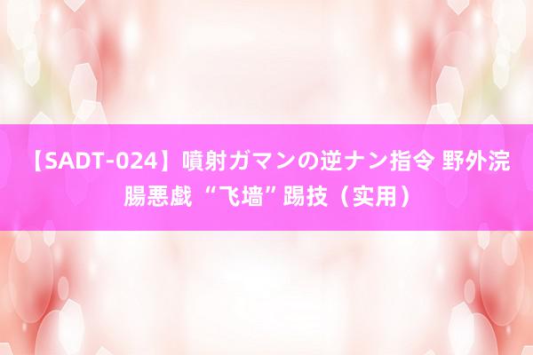 【SADT-024】噴射ガマンの逆ナン指令 野外浣腸悪戯 “飞墙”踢技（实用）