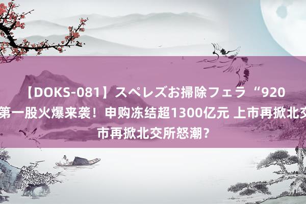 【DOKS-081】スペレズお掃除フェラ “920新号段”第一股火爆来袭！申购冻结超1300亿元 上市再掀北交所怒潮？