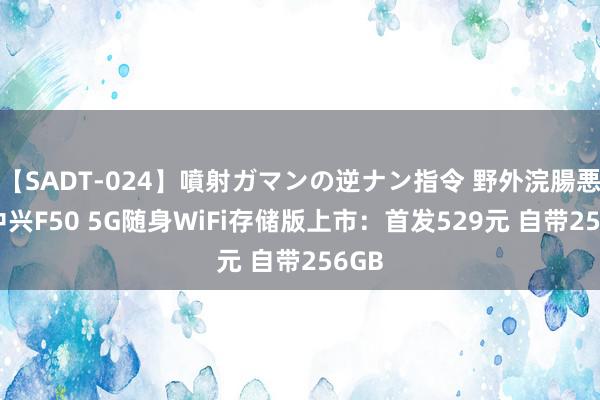 【SADT-024】噴射ガマンの逆ナン指令 野外浣腸悪戯 中兴F50 5G随身WiFi存储版上市：首发529元 自带256GB