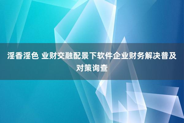 淫香淫色 业财交融配景下软件企业财务解决普及对策询查