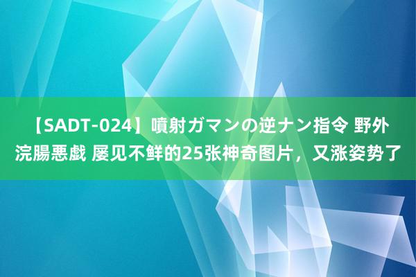 【SADT-024】噴射ガマンの逆ナン指令 野外浣腸悪戯 屡见不鲜的25张神奇图片，又涨姿势了