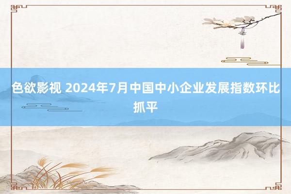 色欲影视 2024年7月中国中小企业发展指数环比抓平