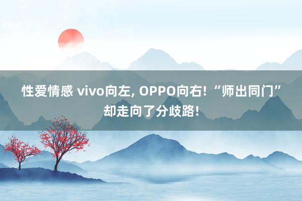 性爱情感 vivo向左, OPPO向右! “师出同门”却走向了分歧路!