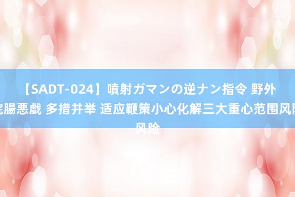 【SADT-024】噴射ガマンの逆ナン指令 野外浣腸悪戯 多措并举 适应鞭策小心化解三大重心范围风险