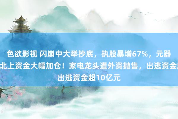 色欲影视 闪崩中大举抄底，执股暴增67%，元器件龙头获北上资金大幅加仓！家电龙头遭外资抛售，出逃资金超10亿元