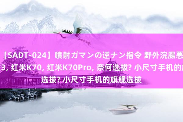【SADT-024】噴射ガマンの逆ナン指令 野外浣腸悪戯 小米13, 红米K70, 红米K70Pro, 奈何选拔? 小尺寸手机的旗舰选拔