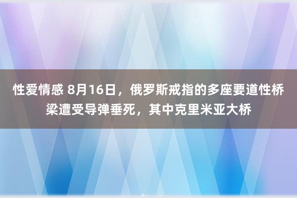 性爱情感 8月16日，俄罗斯戒指的多座要道性桥梁遭受导弹垂死，其中克里米亚大桥