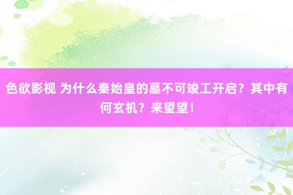 色欲影视 为什么秦始皇的墓不可竣工开启？其中有何玄机？来望望！