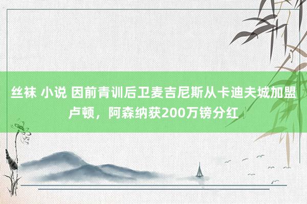 丝袜 小说 因前青训后卫麦吉尼斯从卡迪夫城加盟卢顿，阿森纳获200万镑分红