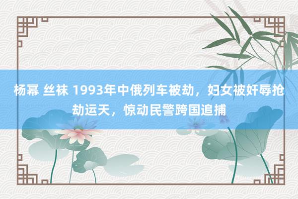 杨幂 丝袜 1993年中俄列车被劫，妇女被奸辱抢劫运天，惊动民警跨国追捕