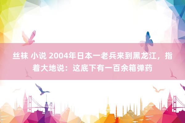 丝袜 小说 2004年日本一老兵来到黑龙江，指着大地说：这底下有一百余箱弹药