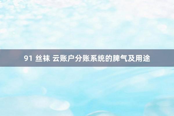 91 丝袜 云账户分账系统的脾气及用途