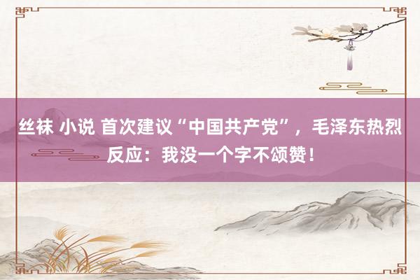 丝袜 小说 首次建议“中国共产党”，毛泽东热烈反应：我没一个字不颂赞！