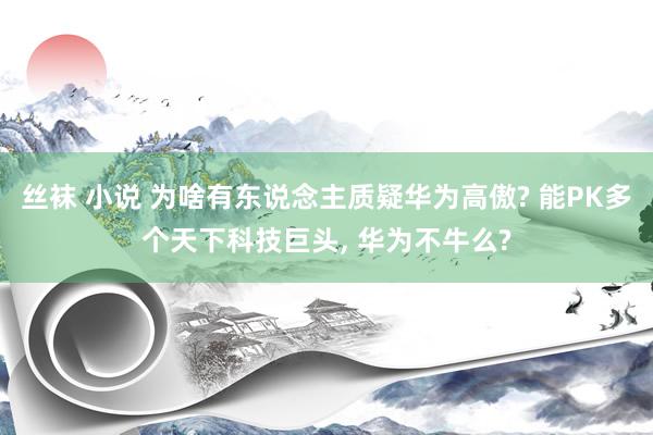 丝袜 小说 为啥有东说念主质疑华为高傲? 能PK多个天下科技巨头, 华为不牛么?