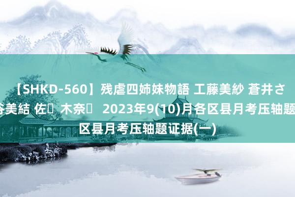 【SHKD-560】残虐四姉妹物語 工藤美紗 蒼井さくら 中谷美結 佐々木奈々 2023年9(10)月各区县月考压轴题证据(一)