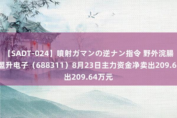 【SADT-024】噴射ガマンの逆ナン指令 野外浣腸悪戯 盟升电子（688311）8月23日主力资金净卖出209.64万元