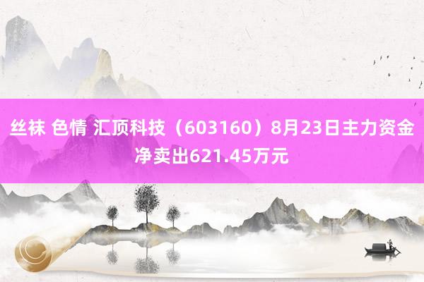 丝袜 色情 汇顶科技（603160）8月23日主力资金净卖出621.45万元