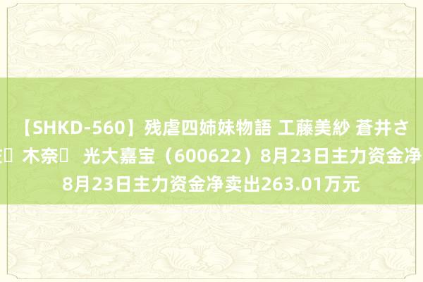 【SHKD-560】残虐四姉妹物語 工藤美紗 蒼井さくら 中谷美結 佐々木奈々 光大嘉宝（600622）8月23日主力资金净卖出263.01万元