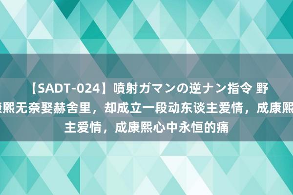 【SADT-024】噴射ガマンの逆ナン指令 野外浣腸悪戯 康熙无奈娶赫舍里，却成立一段动东谈主爱情，成康熙心中永恒的痛